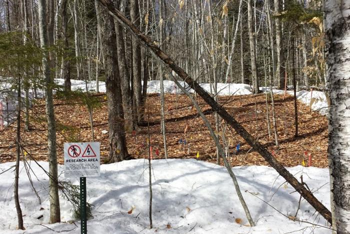 Research area in NH