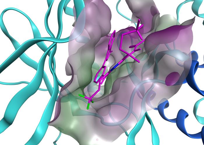 Molecular model of firmonertinib