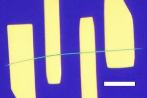 Microscopic image of an ultralow-noise prototype device made from a tantalum-based nanowire with several metal electrodes. The scale bar is 1 micrometer.