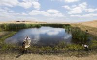 Scientists Searching a Pond