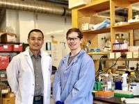 Yibin Kang and Mark Esposito Link Phase Separations to Cancer and Discover Organelle