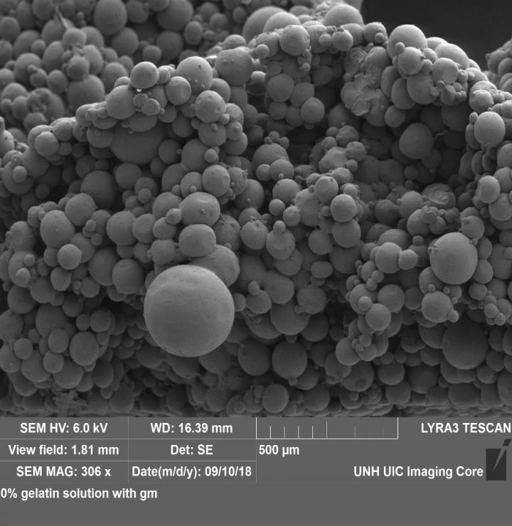 Electron Microscope Image of the Porous Hydrogel