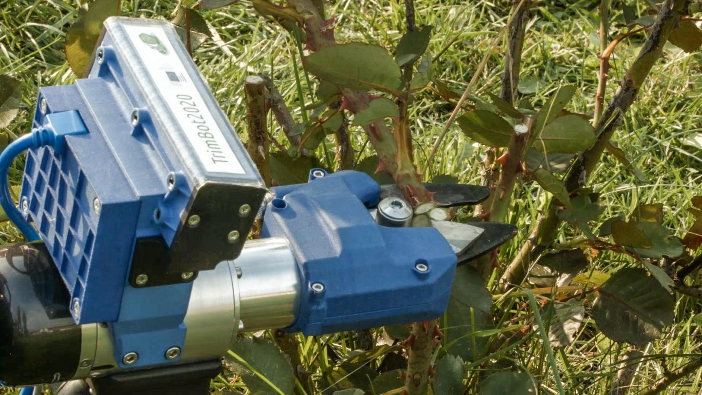 Trimbot Cuts Rose Stem