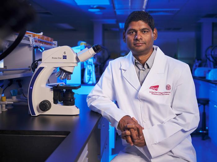 CityUHK researcher maps the kidney’s “longevity protein”, revealing segment specific roles of Klotho