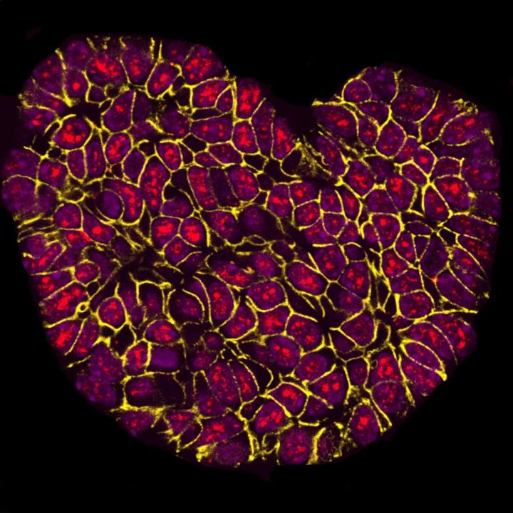 I Heart Research