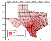 Risk Map