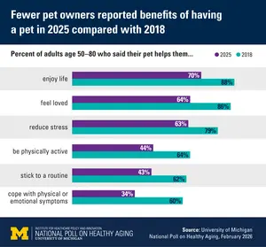 Pet ownership benefits comparison - 2018 and today