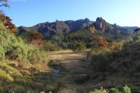 Highly Variable Forest in Ehiopia