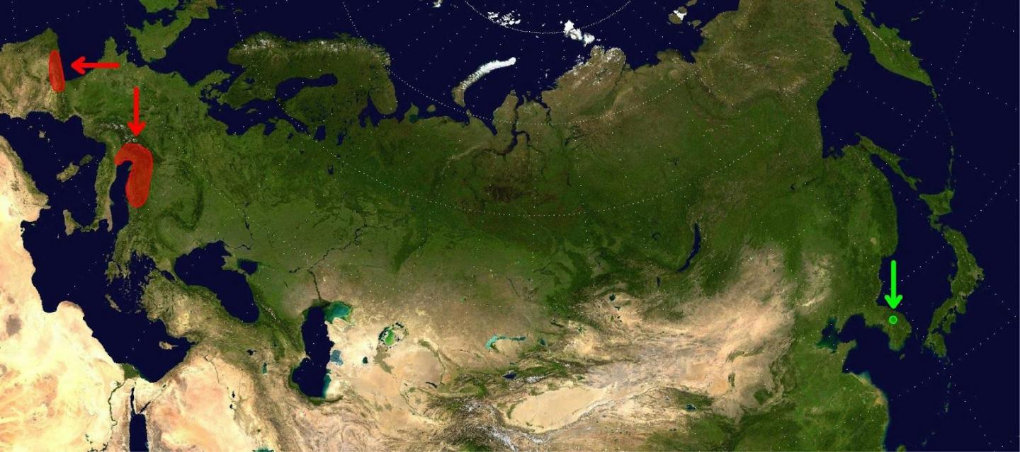 Map of <em>Zospeum</em> and <em>Koreozospeum</em>
