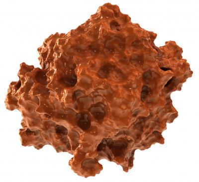 Molecular Model of Lignin