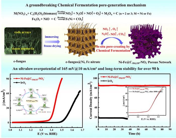 Chemical Fermentation PoreCreation on Multilevel BioCarbon Structure with In Situ Ni–Fe Alloy Loading for Superior Oxygen Evolution Reaction Electrocatalysis