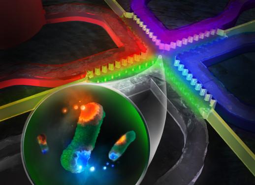 <i>Lab on a Chip</i>