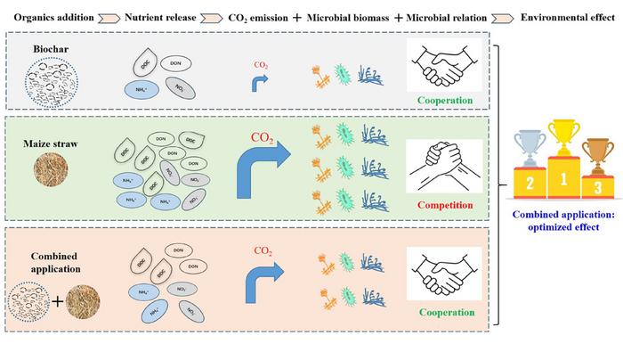 Initial changes in soil microbial community structure after combined biochar and straw application to agricultural soil: evidence from a 180-day incubation experiment