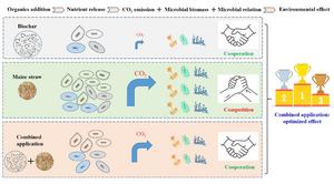 Initial changes in soil microbial community structure after combined biochar and straw application to agricultural soil: evidence from a 180-day incubation experiment