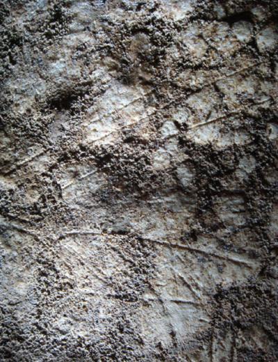 Britain's Oldest Rock Art?