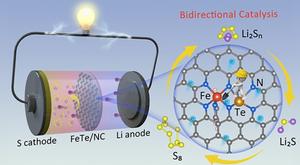 Te‑Modulated Fe Single Atom with Synergistic Bidirectional Catalysis for High‑Rate and Long–Cycling Lithium‑Sulfur Battery