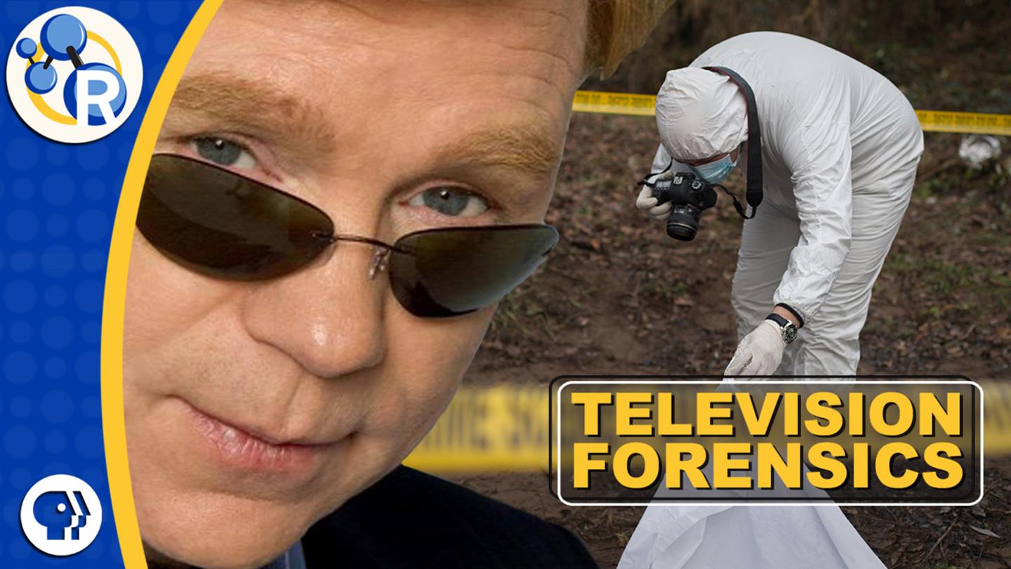 What Do Crime Scene Investigators Actually Do? (Video)
