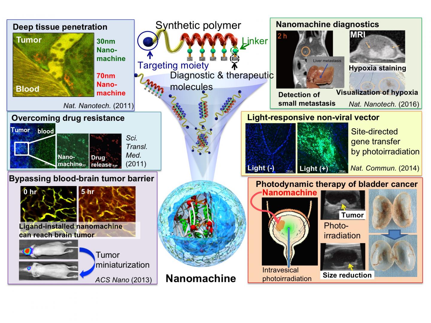 Nobuhiro Nishiyama's Research