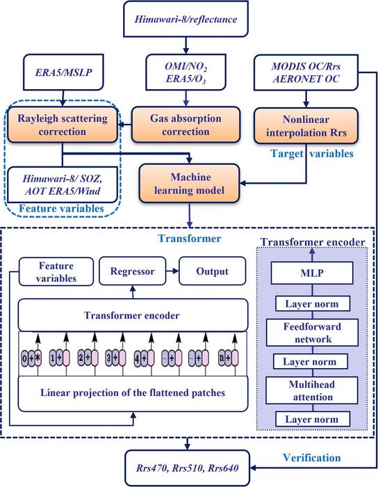 Flowchart of the Rrs retrieval process implemented via the transformer model.
