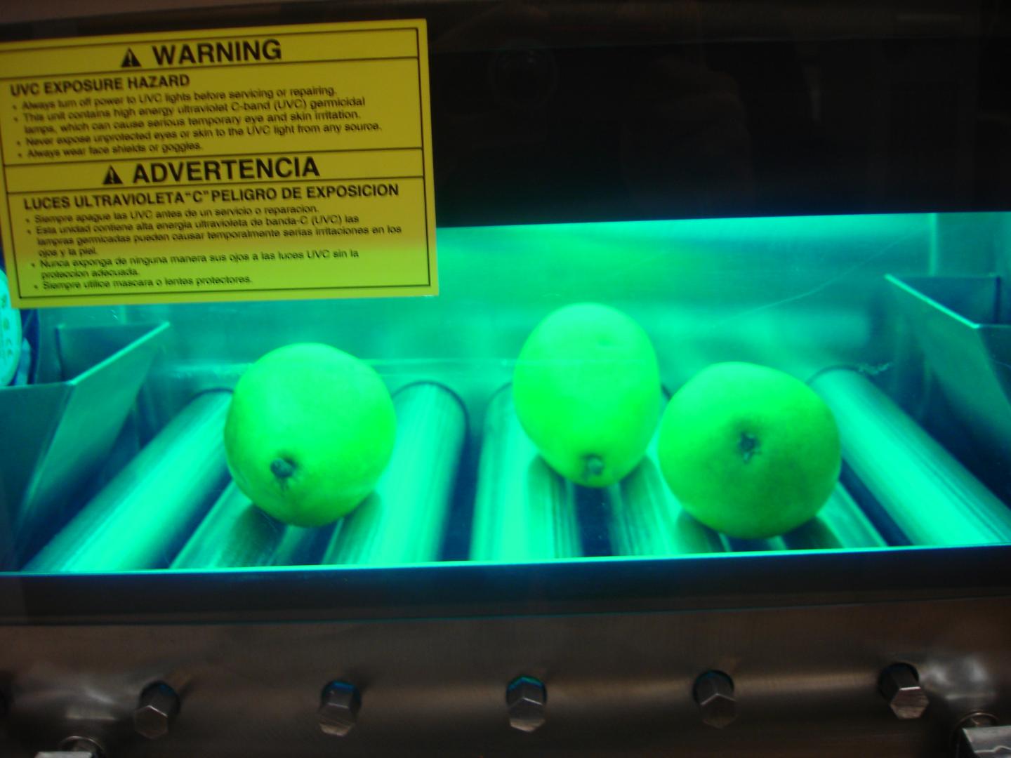 UVC Light on Pears