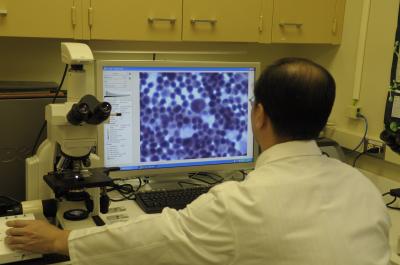 Scanning Tumor Cells