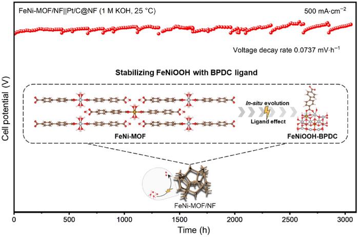Long-term operational stability and in-situ structural evolution of the FeNi-MOF/NF electrode.