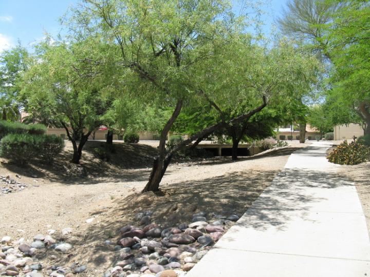 Dry Stream Bed