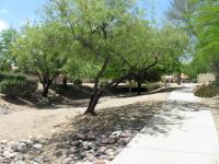 Dry Stream Bed