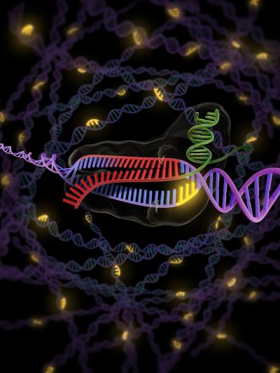 PAM for RNA-Guided Cas9