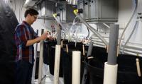 Water Samples