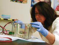 UA Steele Center Researcher and Associate Professor, Melissa Halpern, Ph.D.