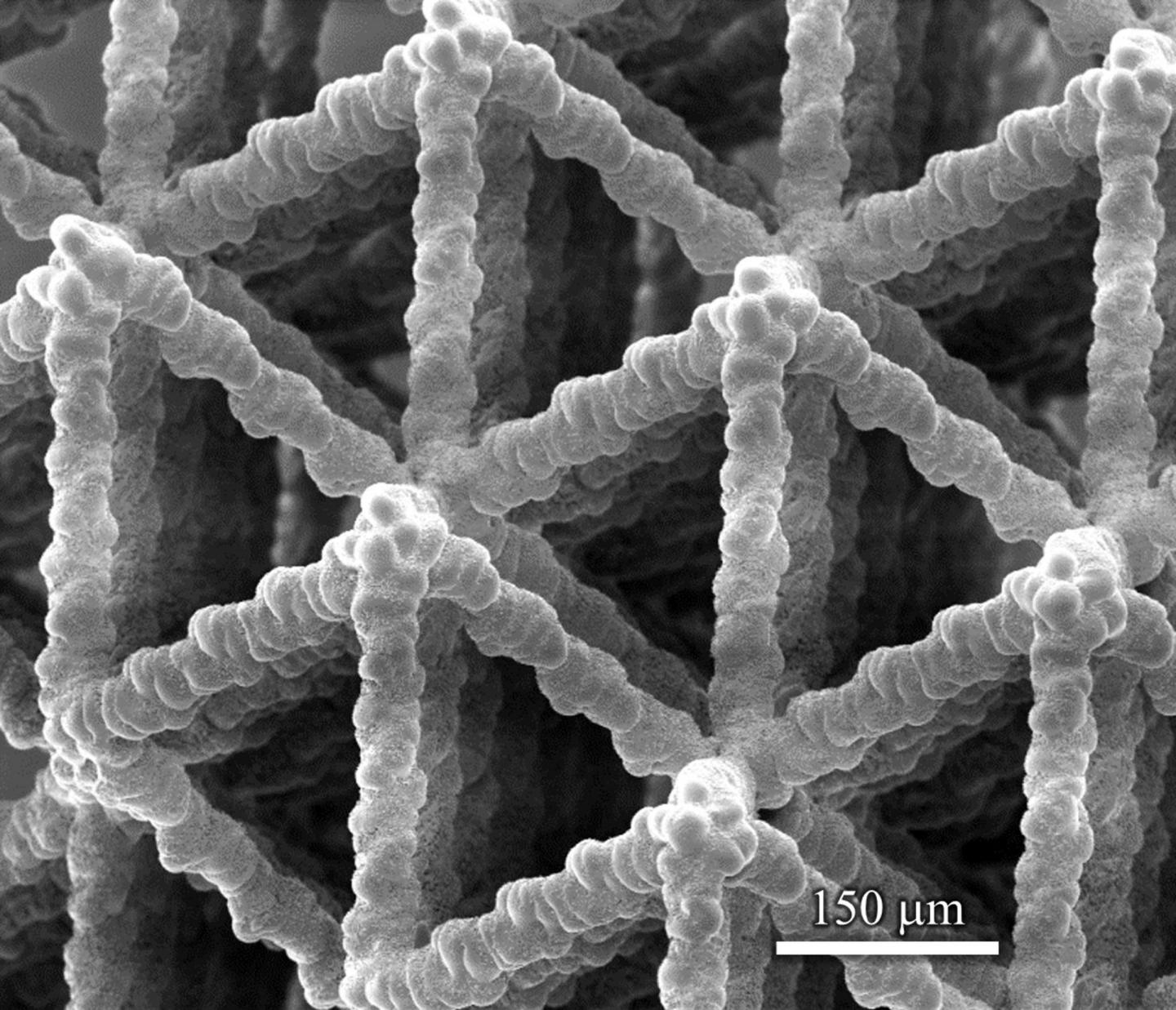 Biolike Microstructure