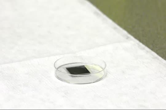 Breakthrough Device Heals Organs with a Single Touch