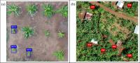 Aerial views of BBTD and BXW