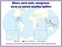 Coral Reefs, Mangroves