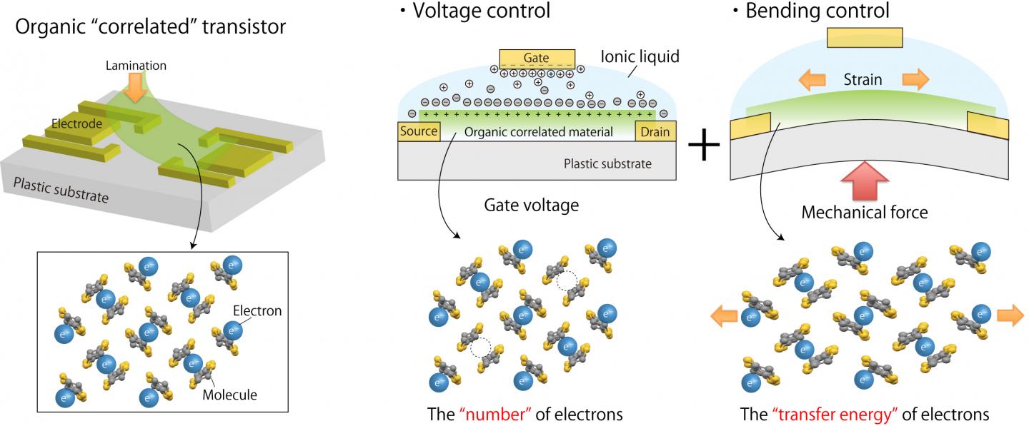 Schematics of EDLT