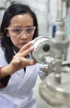Halimaton Hamdan, Institute for Innovative Nanotechnology