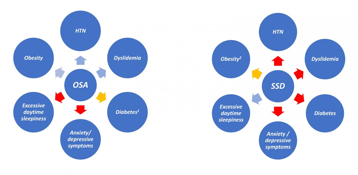 Associations of OSA and SSD with Excessive Daytime Sleepiness, Cardiometabolic Risk Factors