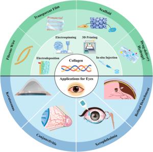 Collagen processing and fabrication techniques and their applications in treating ocular tissue disorders