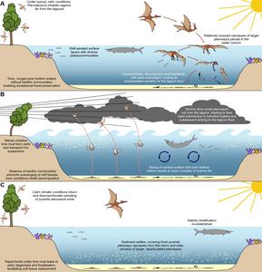 How storms led to the remarkable preservation of pterosaurs