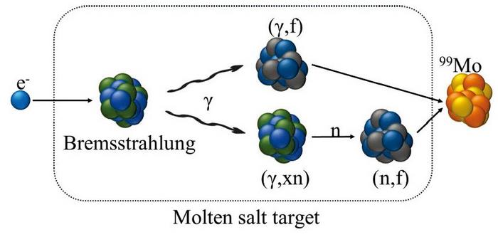 Schematic of the physical process for 99Mo production via electron irradiated molten salt.