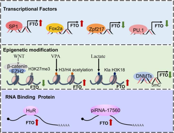 FIG 3