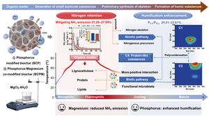 Enhancing the transformation of nitrogenous organics to humification in composting: biotic and abiotic synergy mediated by phosphorus and magnesium modified biochar
