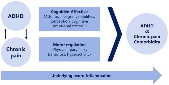 ADHD pain connection