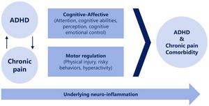 ADHD pain connection