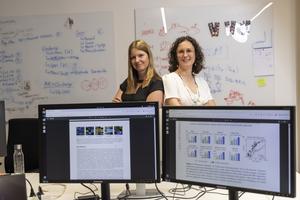 From left: Bettina Könighofer from the Institute of Information Security at TU Graz and Anna Galler from the Institute of Theoretical and Computational Physics at TU Graz.