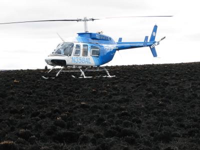 Toasted Tussock Tundra