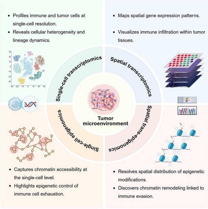 Article Graphical Abstract
