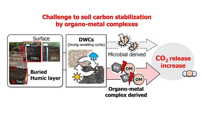 Proposed mechanism underlying enhanced soil CO₂ emissions induced by drying-rewetting cycles