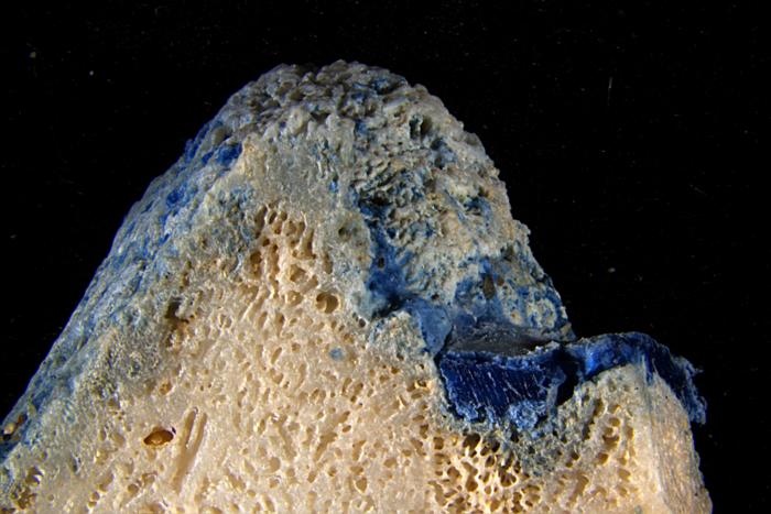 Plasticoral from Sosu Beach